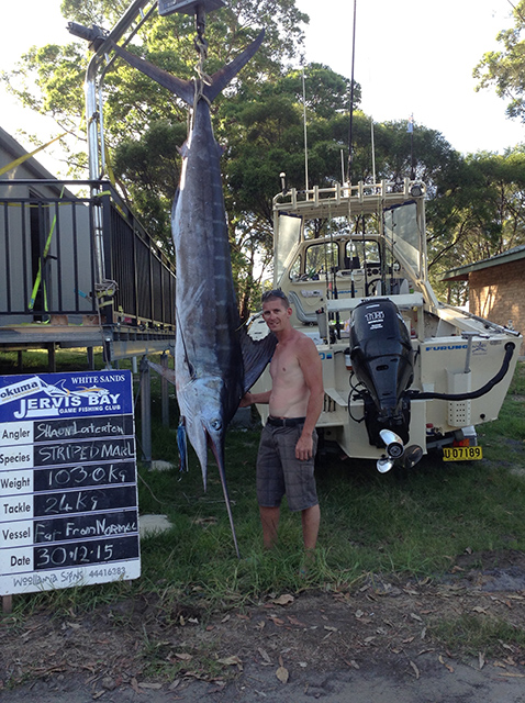 ANGLER: Shaun Laterton SPECIES: Striped Marlin WEIGHT: 103.0kg LURE: JB Lures 12" Dingo